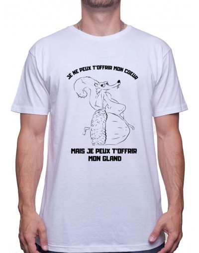 Je ne peux pas t'offrir mon c?ur mais je peux t'offrir mon gland - Tshirt Homme